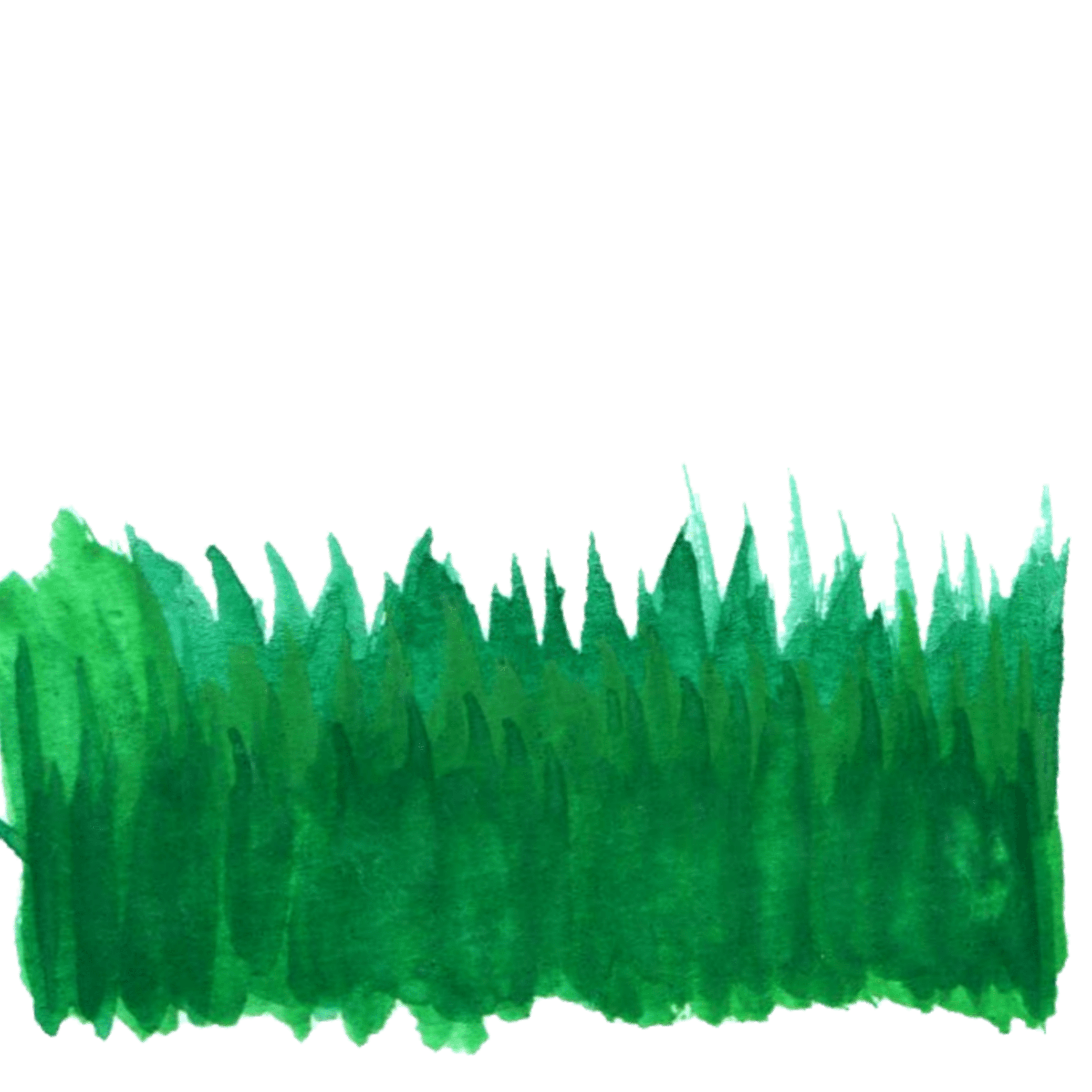 ftestickers watercolor painting grass bush green...