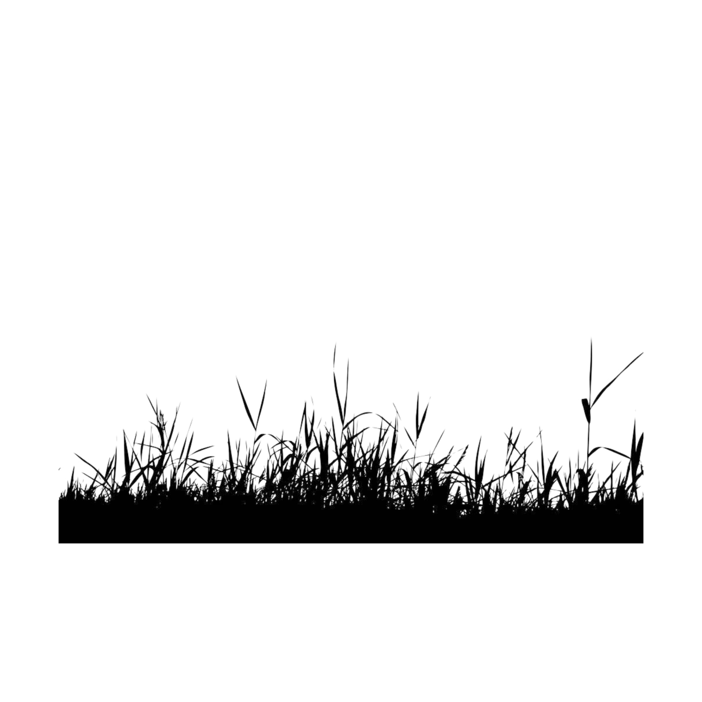 grass freetoedit grass sticker by mermaid215