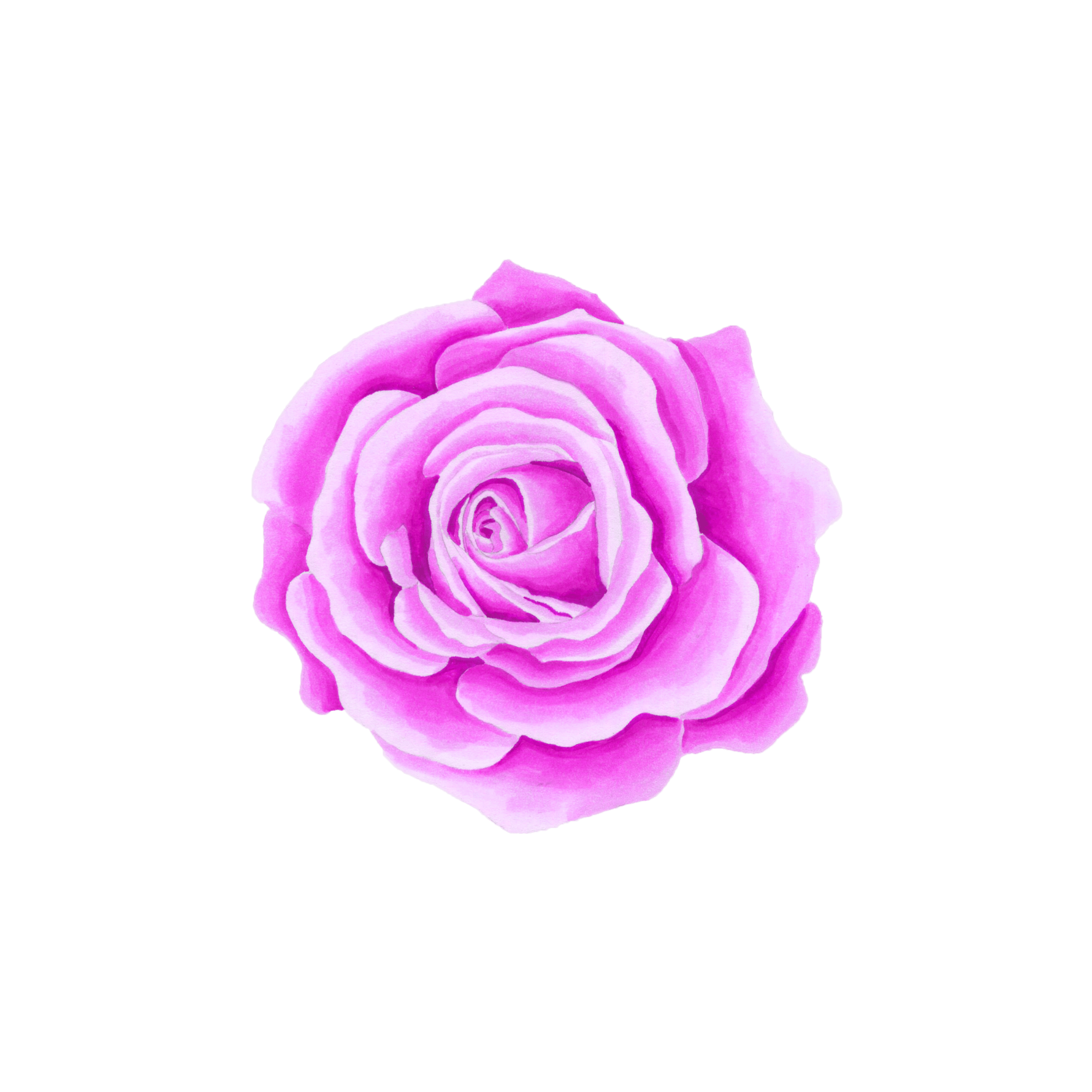 Flower Picsart Best Flower Site