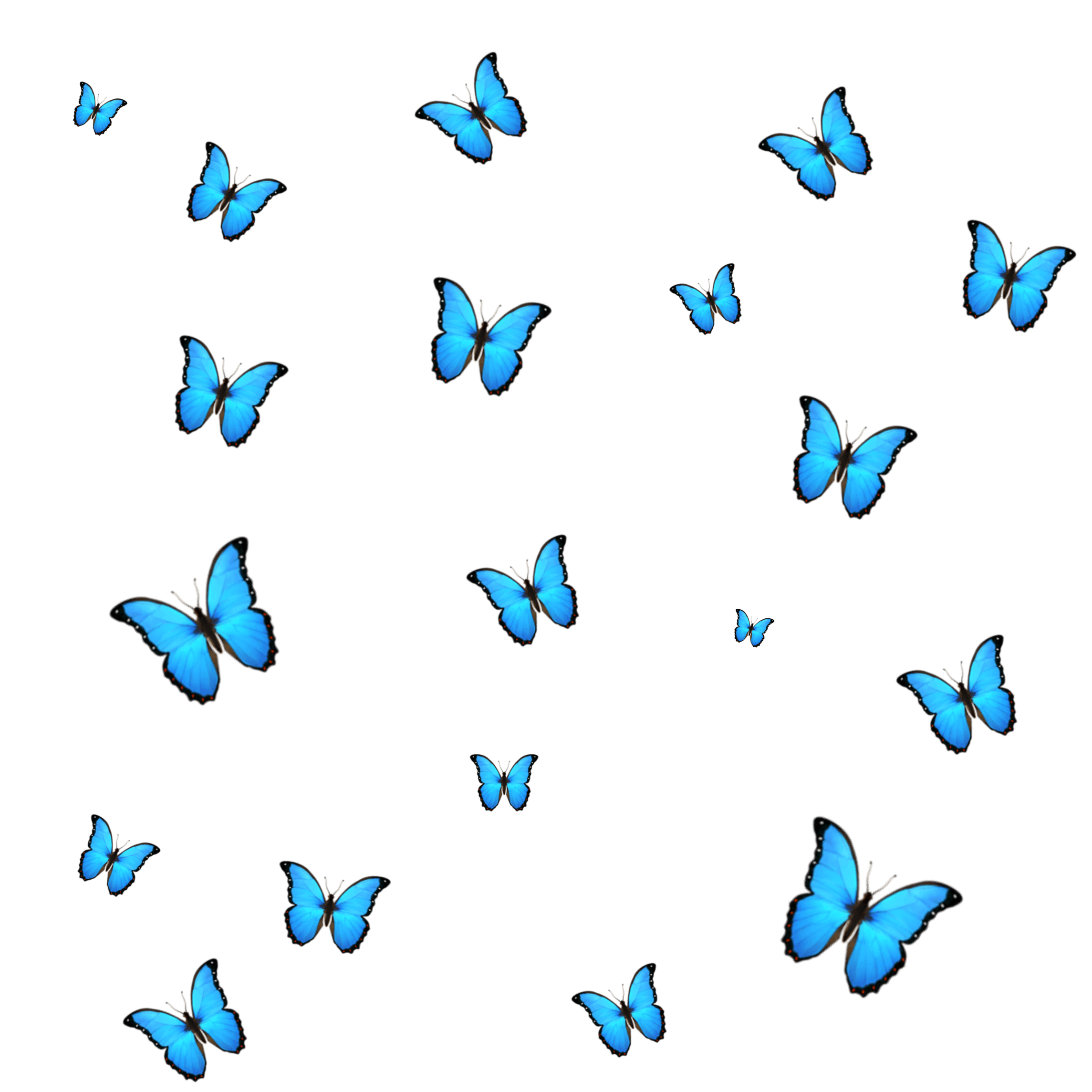 Blue Butterfly Emoji PNG