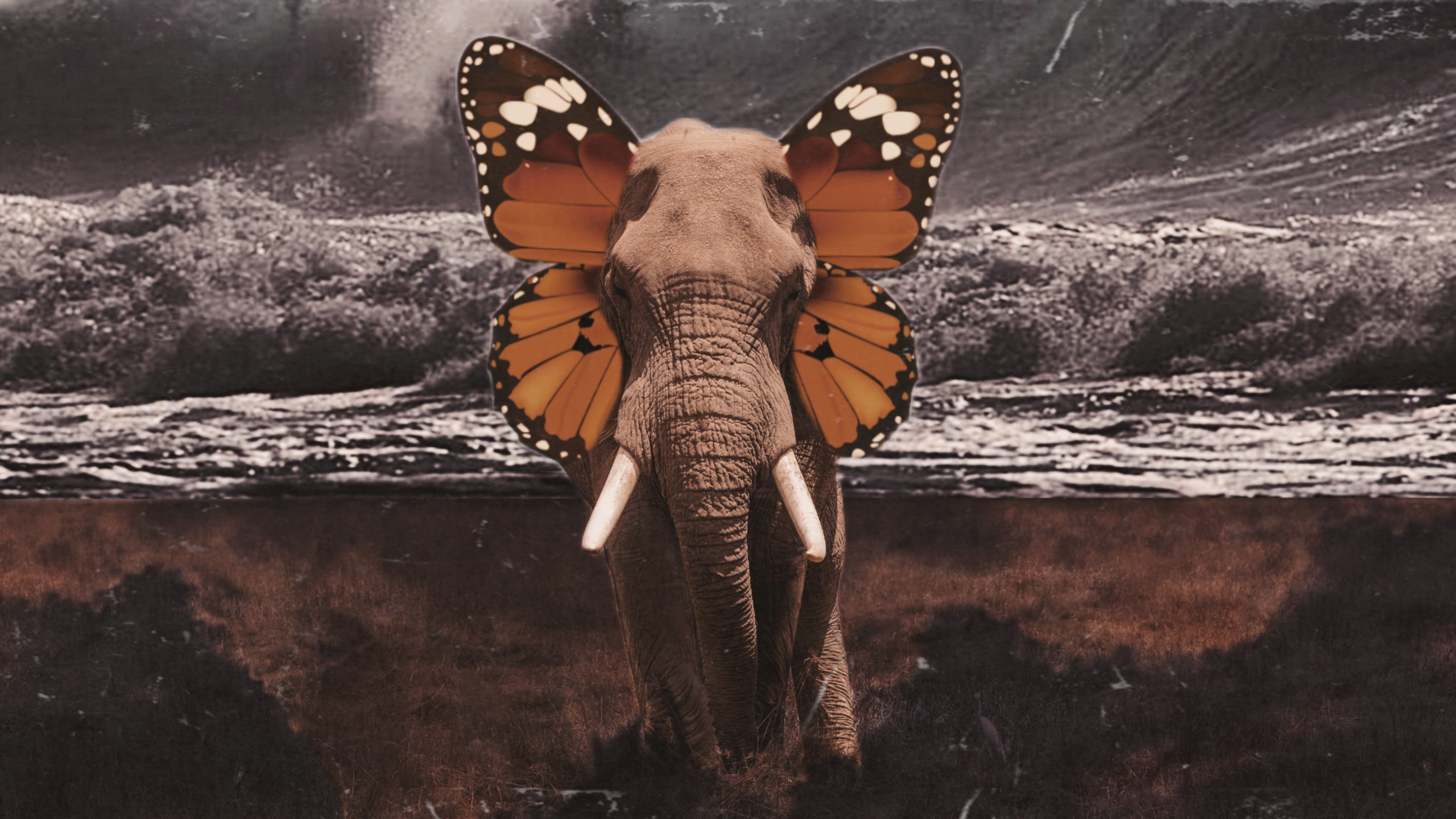 freetoedit picsart challenge elephant image by multishitty