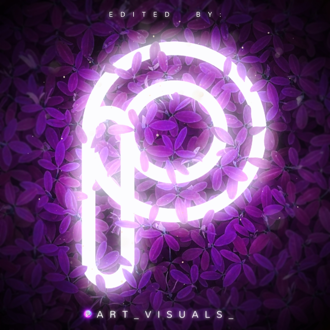 Light Purple Picsart Icon