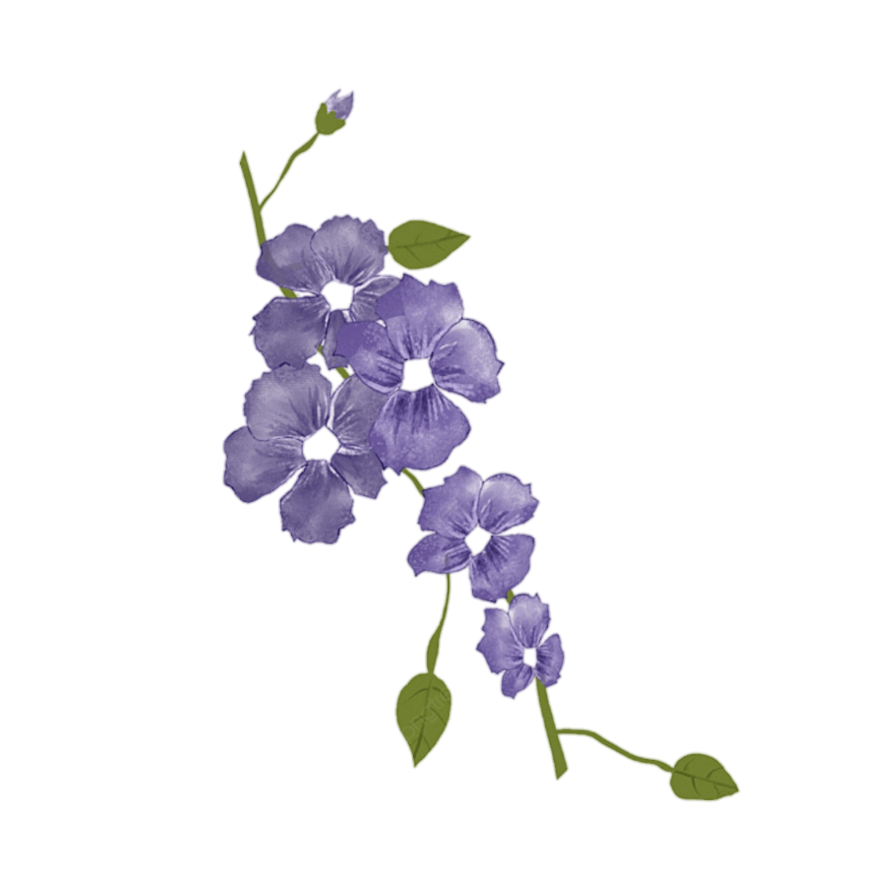 flowers*purple freetoedit flowers sticker by maglmas62