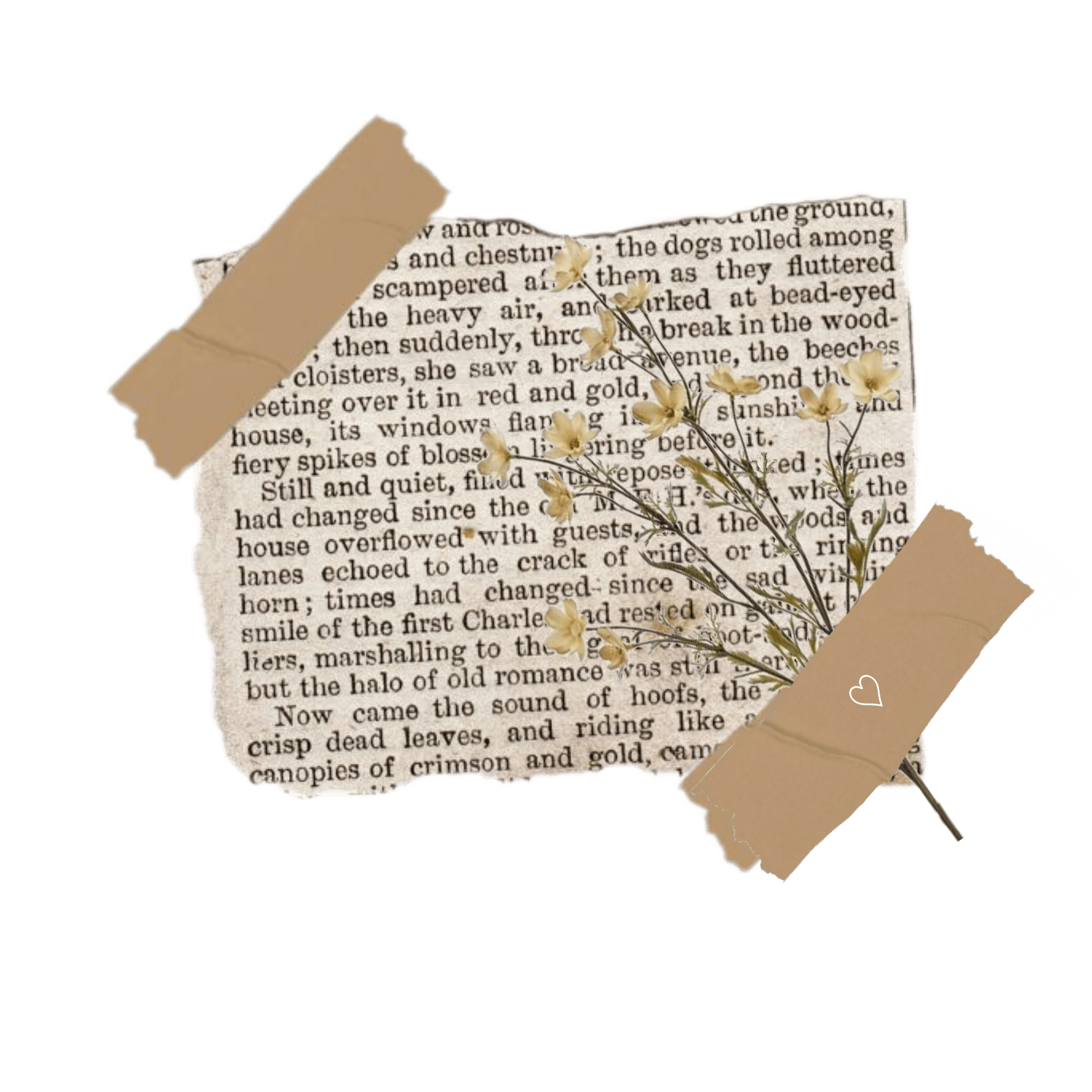 newspaperaesthetic newspaper sticker by sugamamasbaby