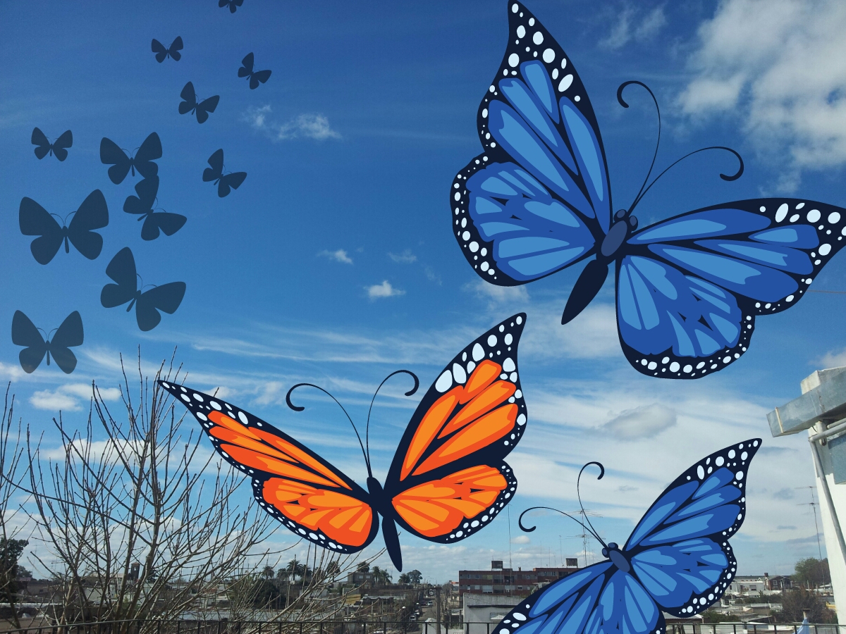 picsart PicsArt image by tali23