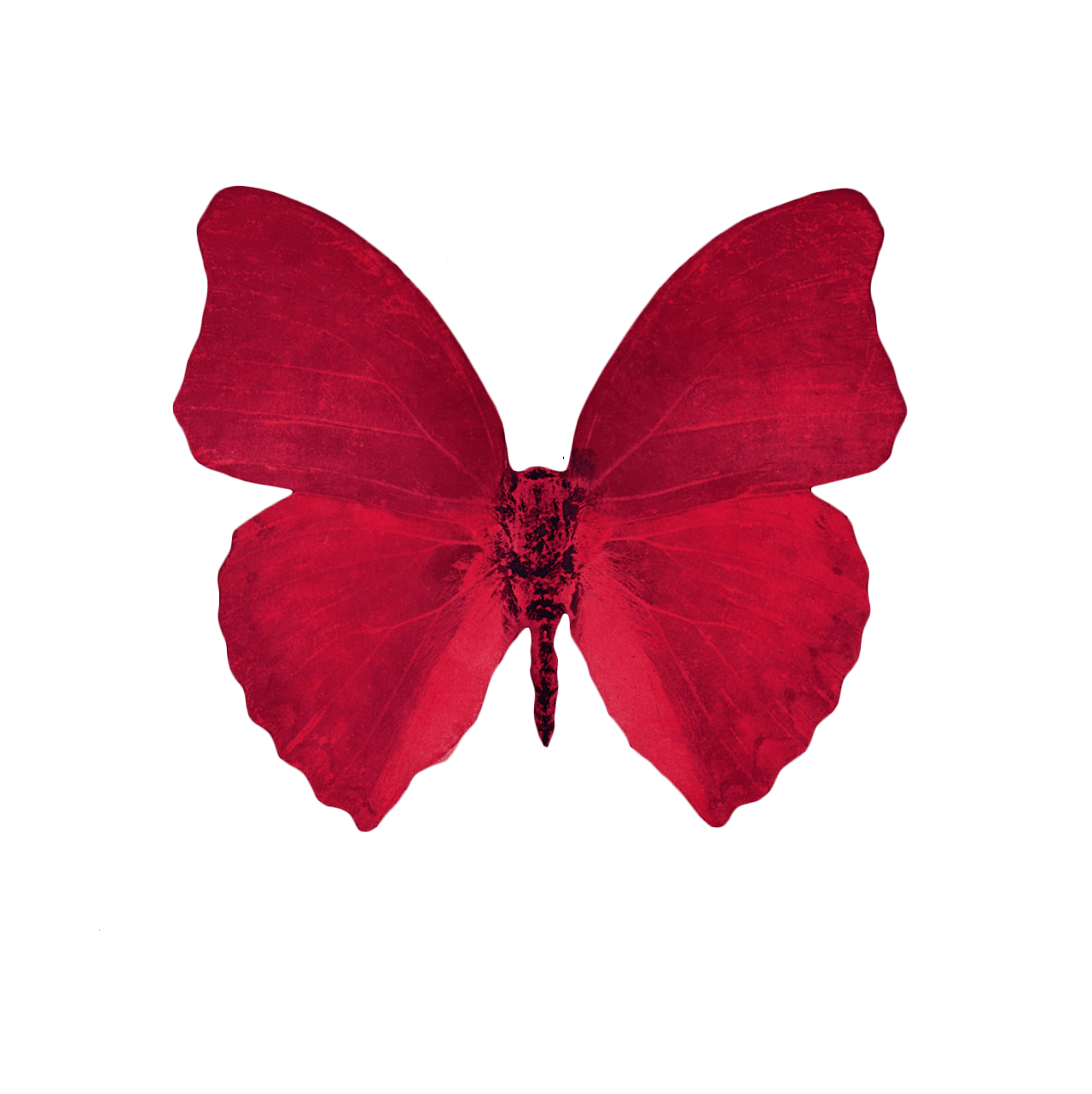 Butterfly Red Beautiful Freetoedit Sticker By Picsart My XXX Hot Girl
