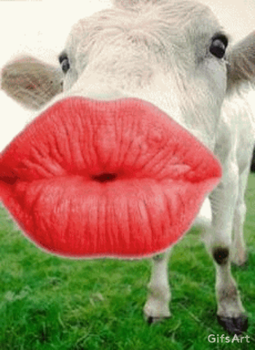Funny Big Lips Gif