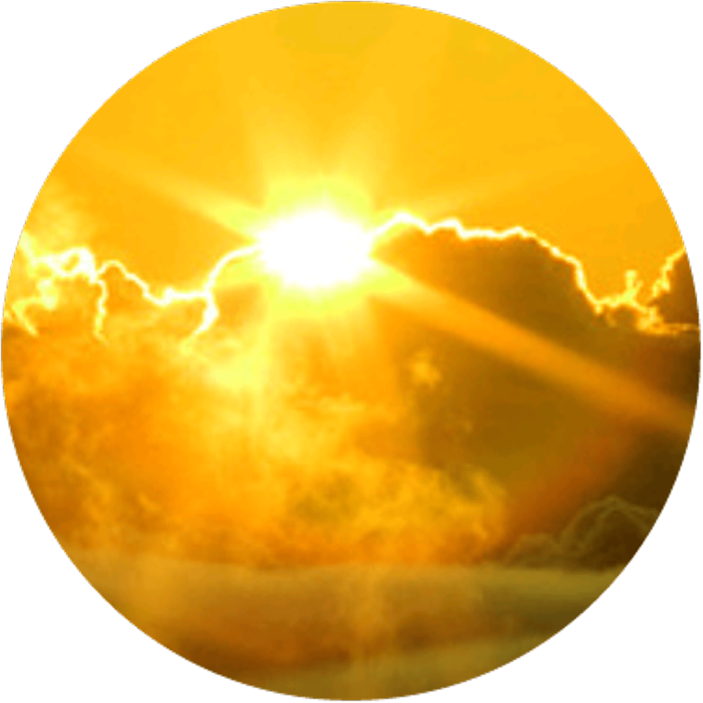 Google Photos Icon Aesthetic Yellow Denk Bee