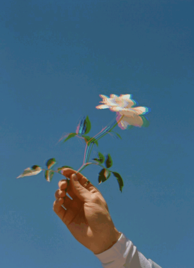 Aesthetic Flower Gif Meme Image