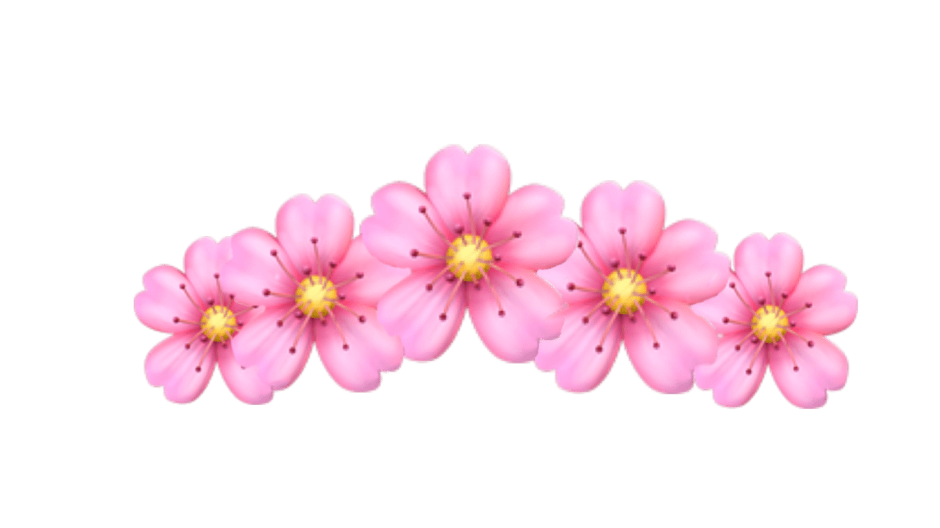Mentahan Bunga Picsart gambar status lucu wa