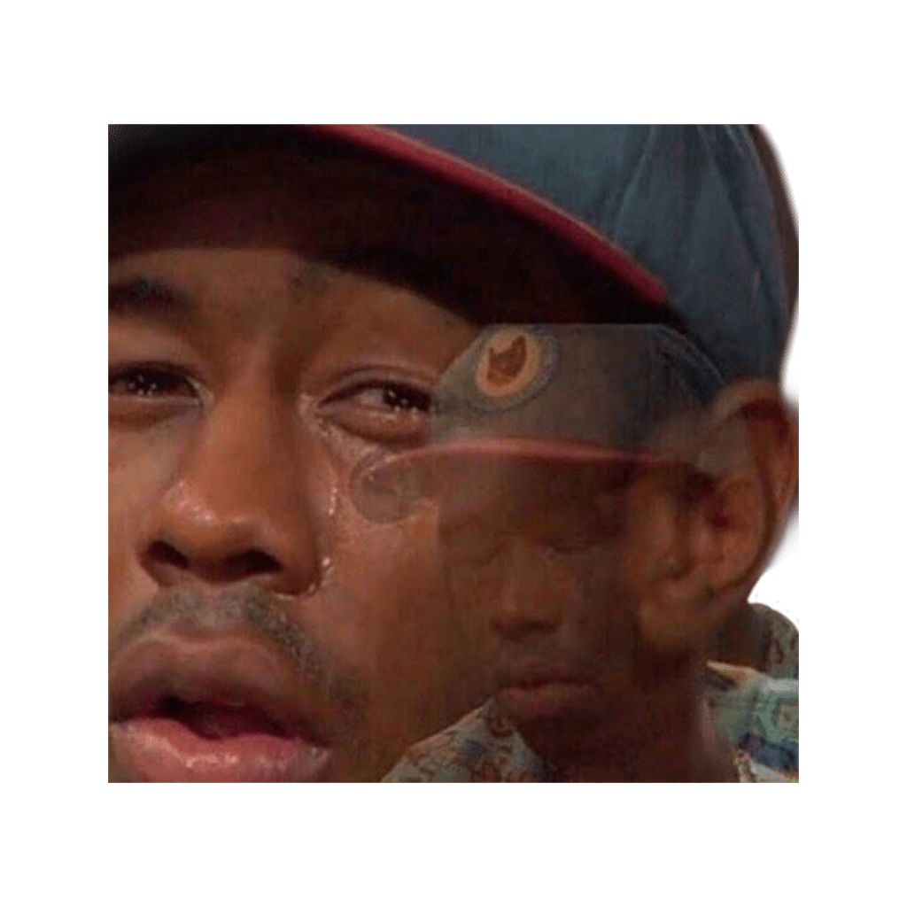 meme freetoedit meme sticker by ashleyl7895