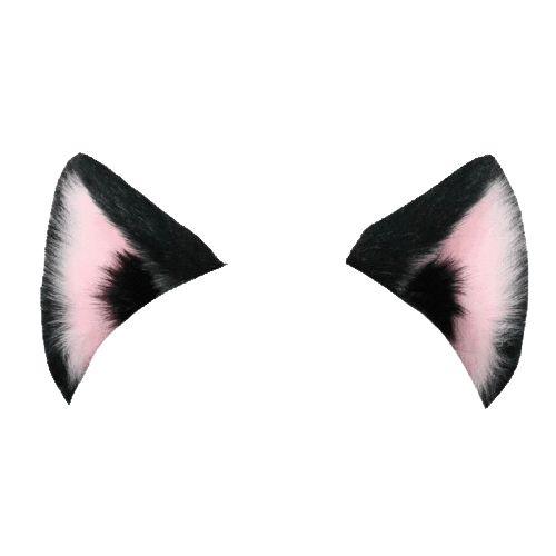 Result Images Of Cat Ears Png Transparent Background Png Image Hot
