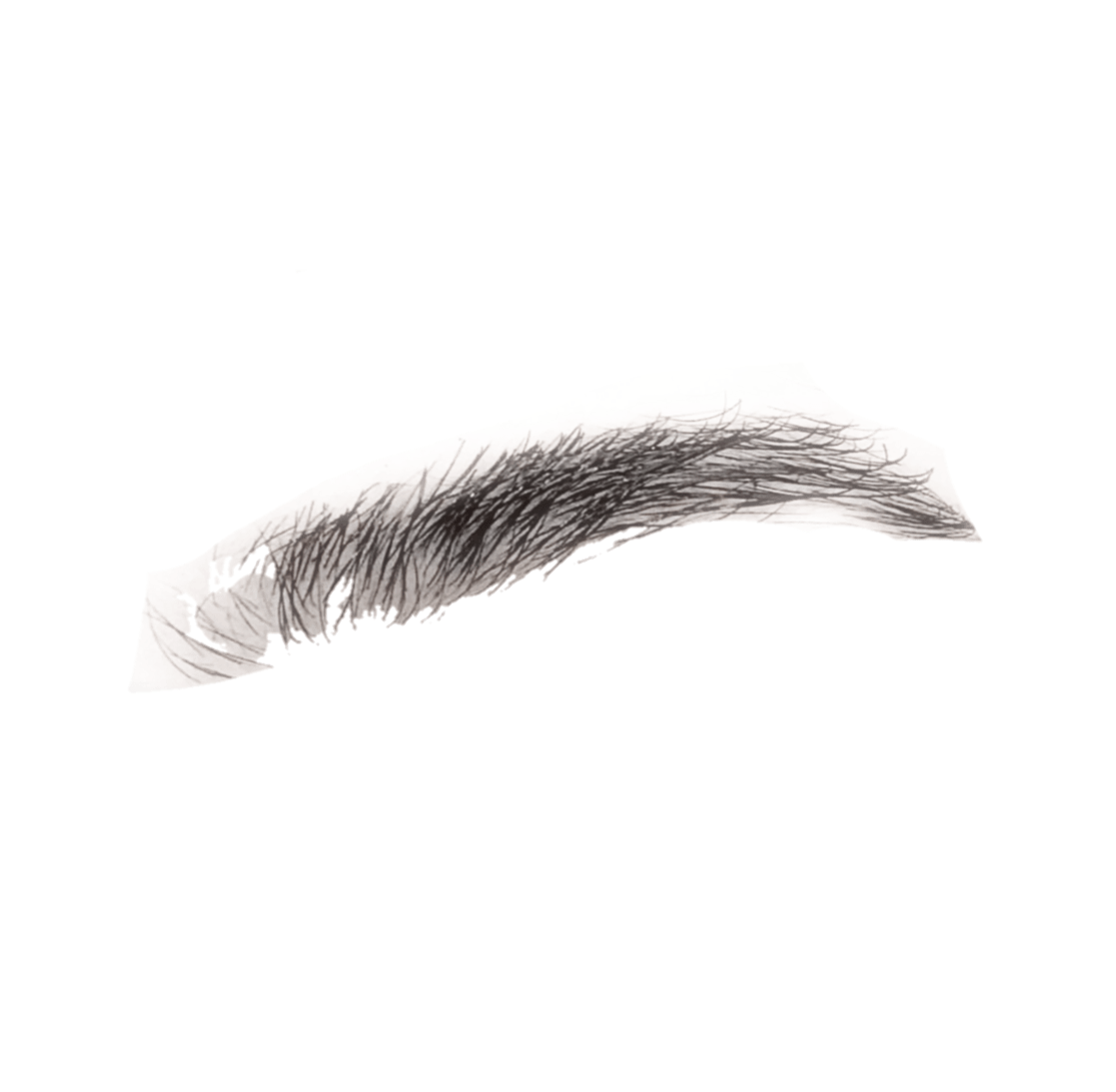 Female Eyebrows Png Are you searching for eyebrow png images or