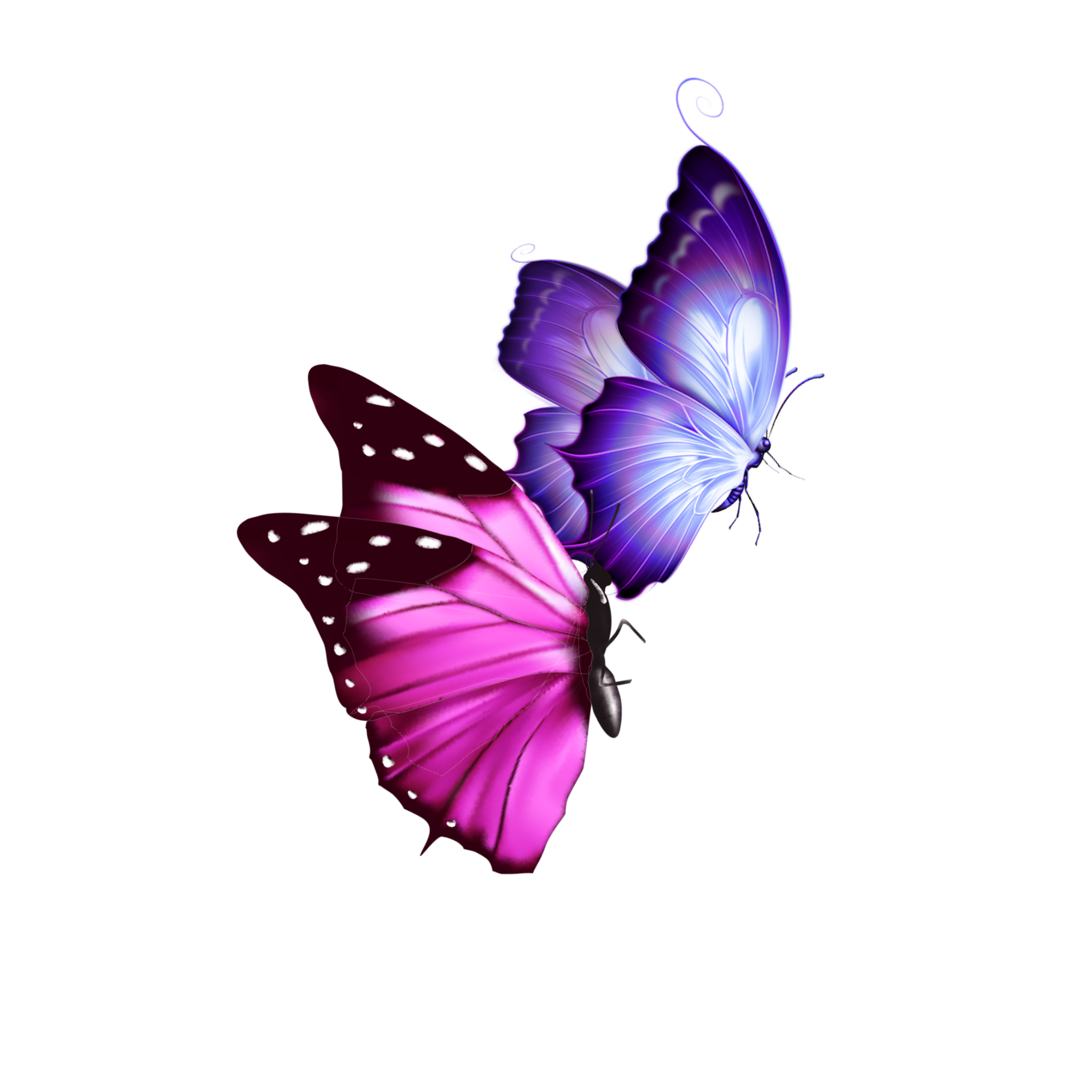 Pink Butterflies Transparent Background Pink Butterfly Png Image