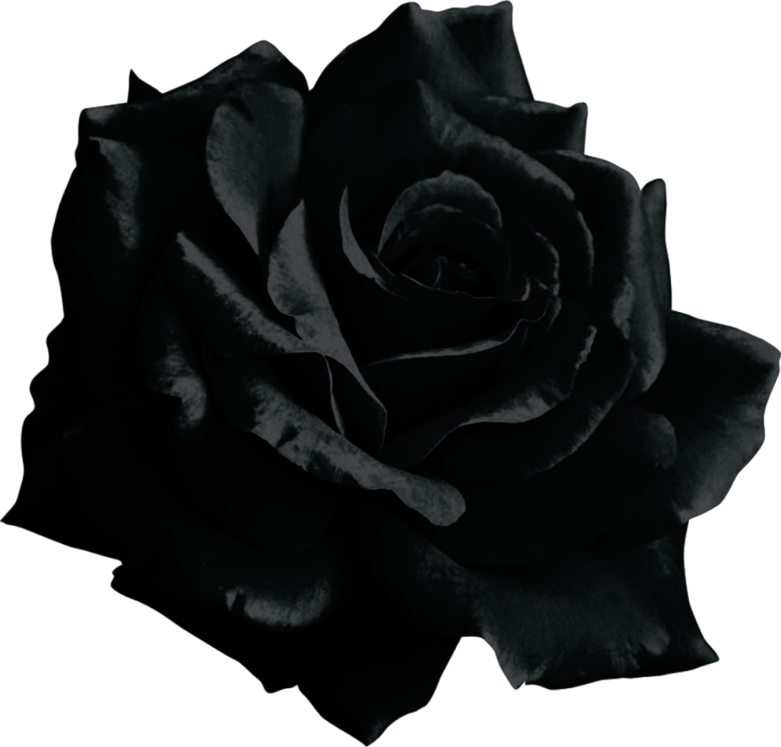 Black Flower Emoji Copy Paste Best Flower Site