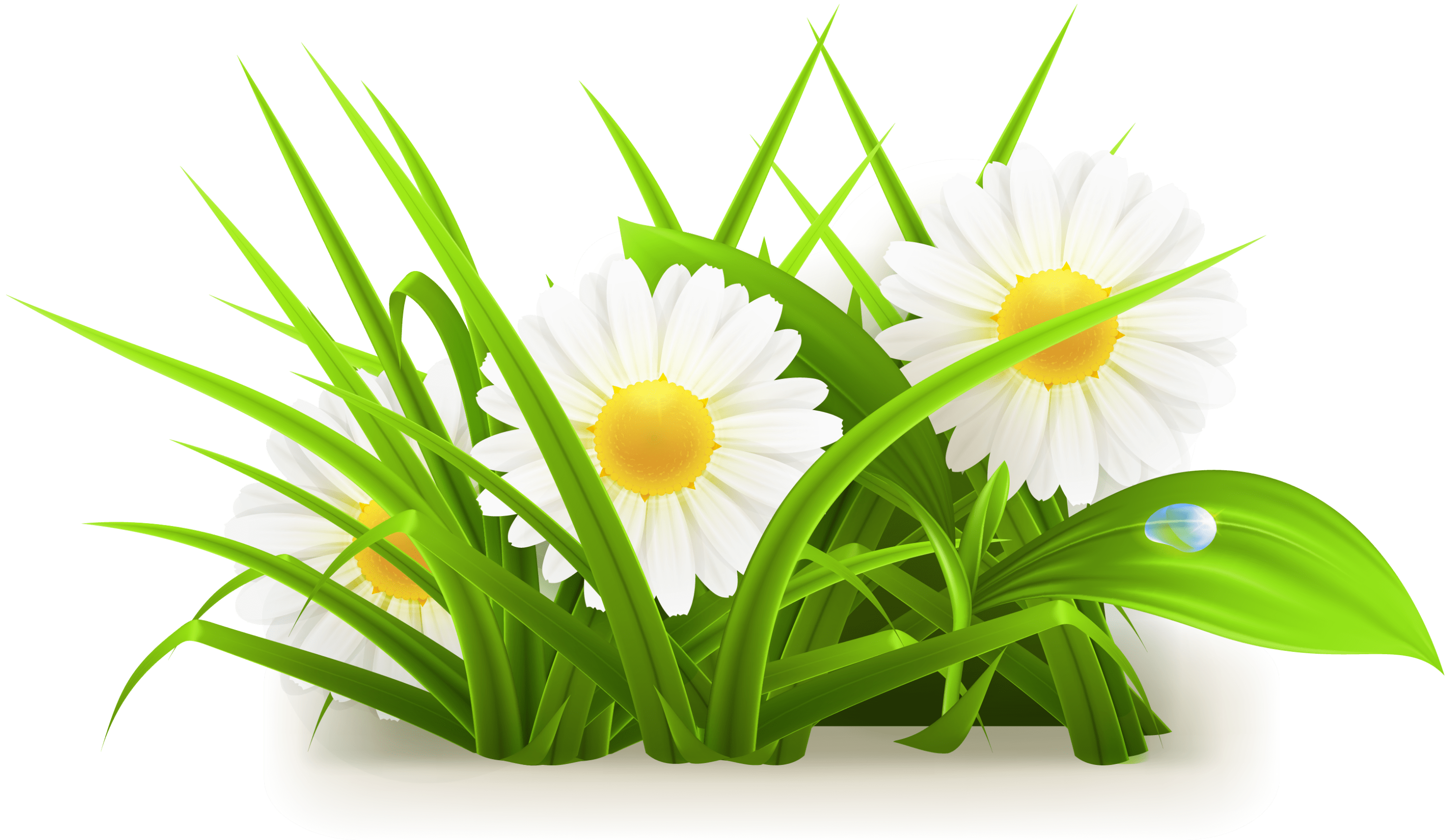 12+ Grass Brush Vector Png