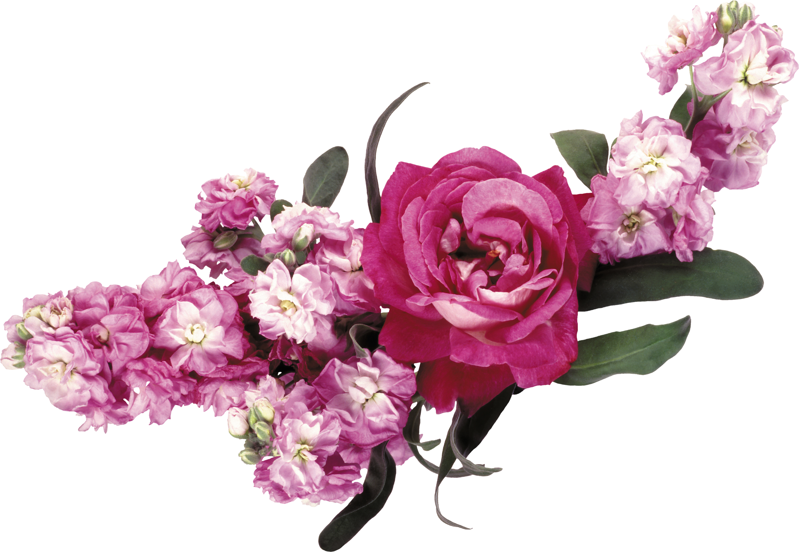 Aesthetic Png Flower Crown Largest Wallpaper Portal