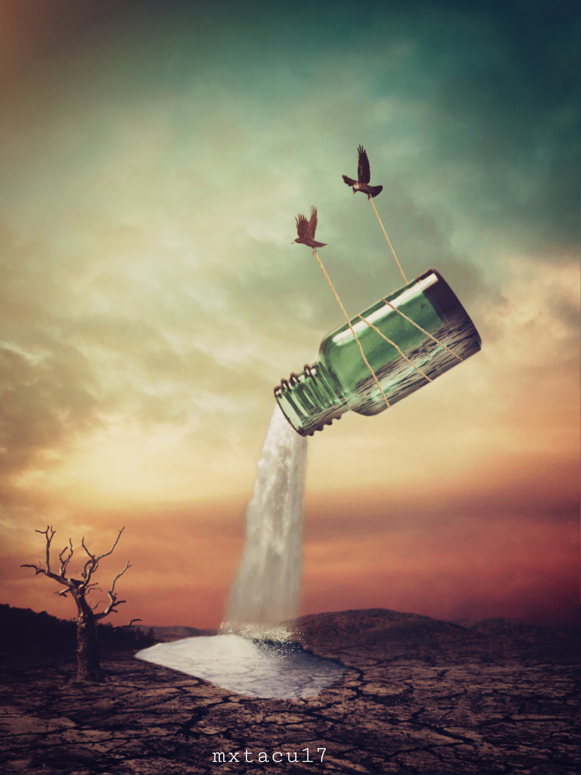freetoedit bottle surrealism myedit editedwithpicsart...