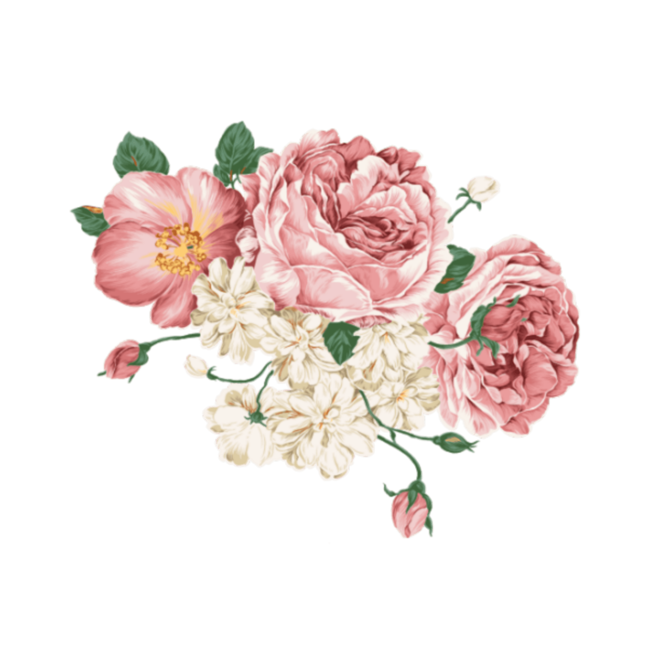 Flower Picsart Best Flower Site