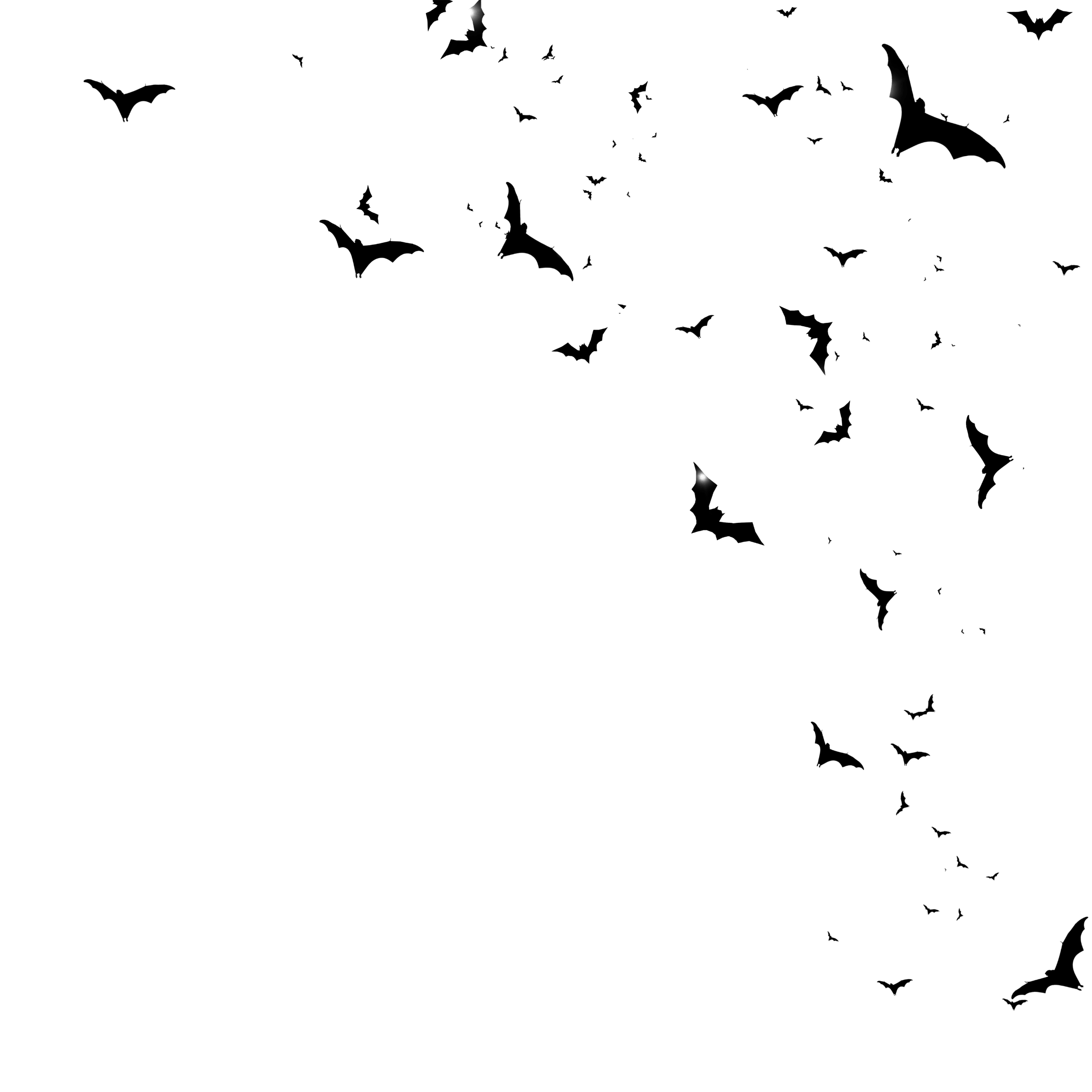 Bats Halloween Png Free Logo Image