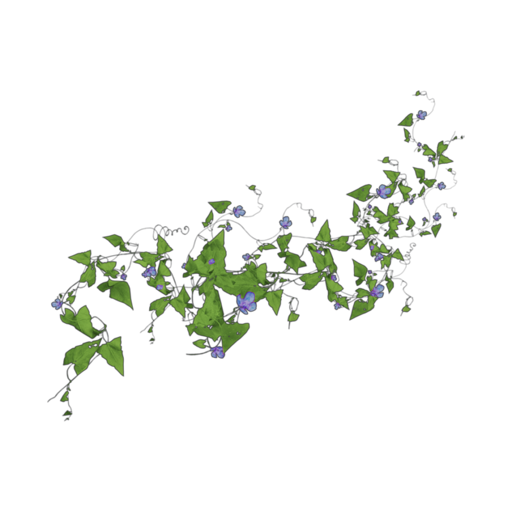 vines morningglories flowers sticker by alwaysmetal86