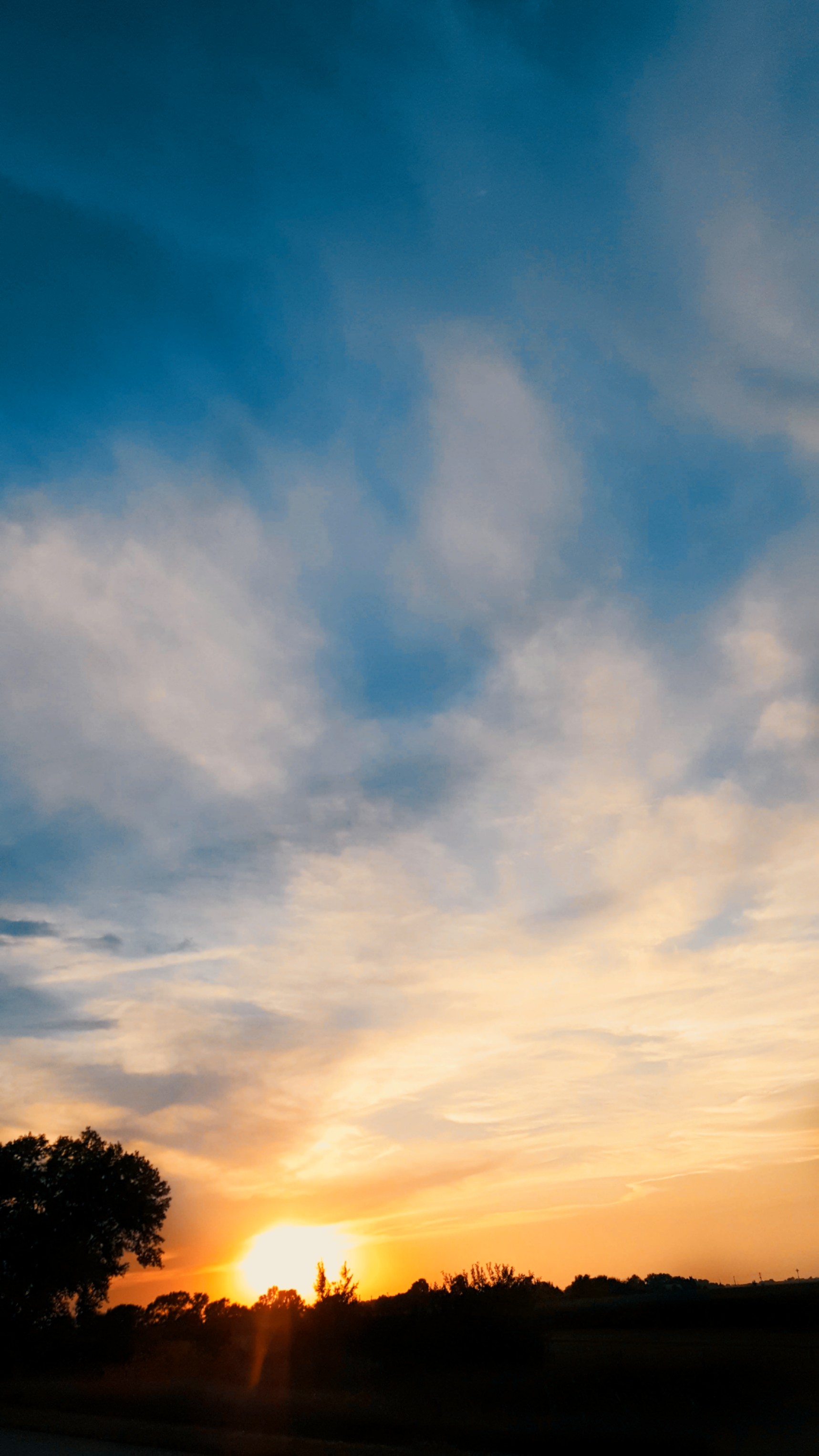 sunlight picsart tree nature colorful photography land...