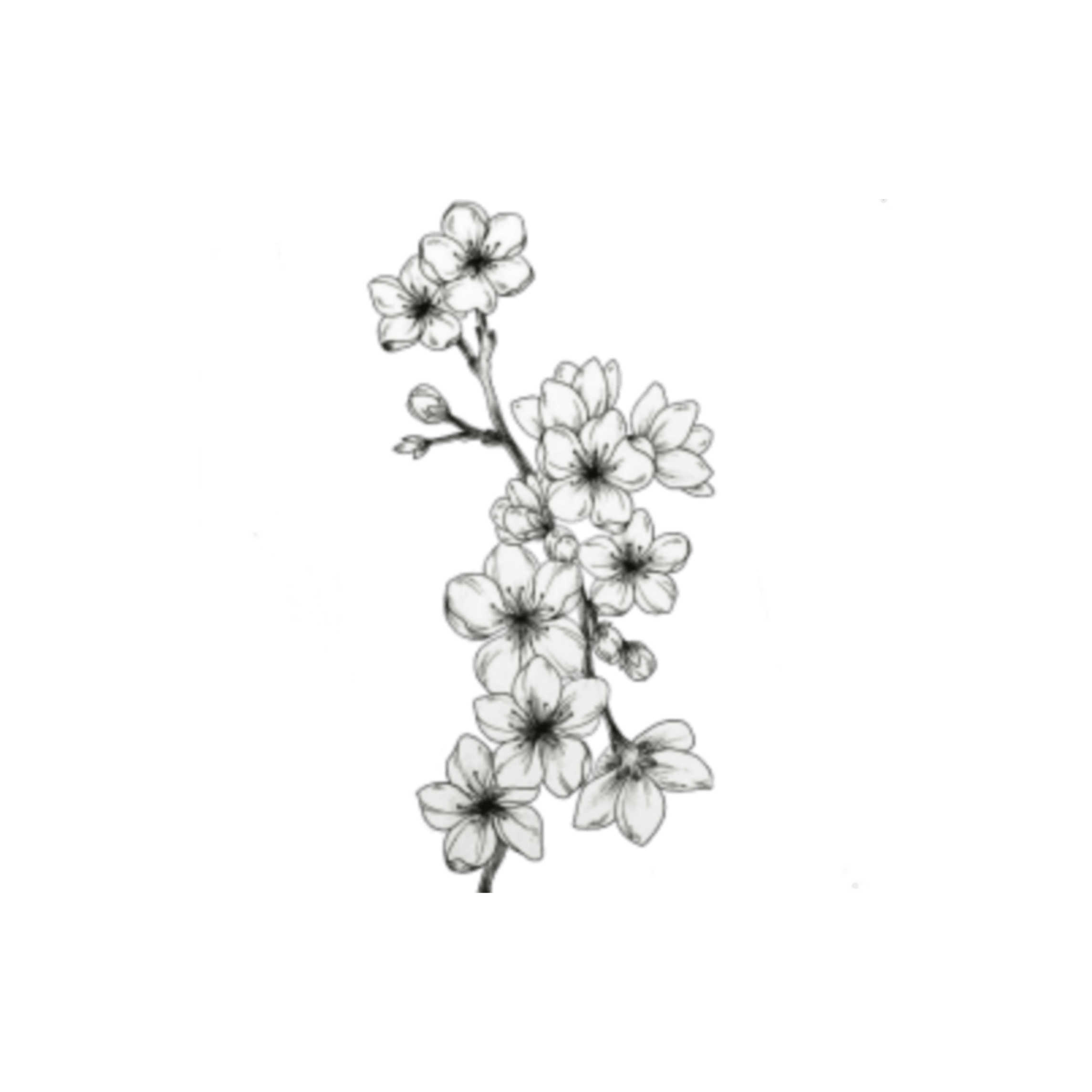 manga cute flowers flower манга sticker by momotaro_chan