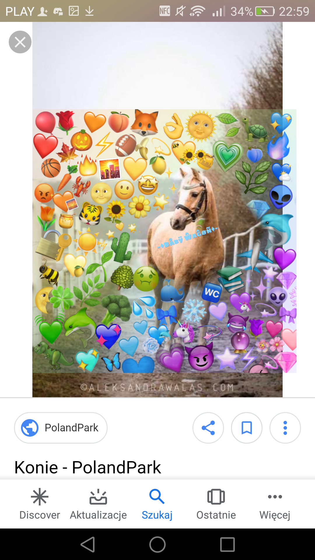 horse horseedit emoji yt freetoedit image by jcollins