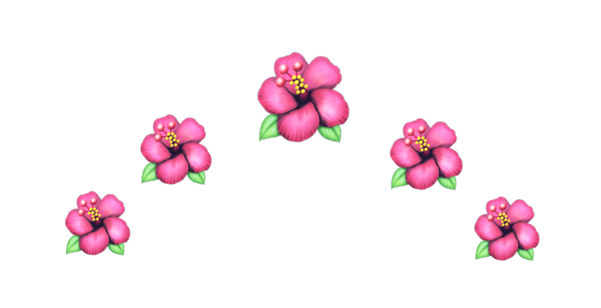 Emoji With Flower Crown Best Flower Site