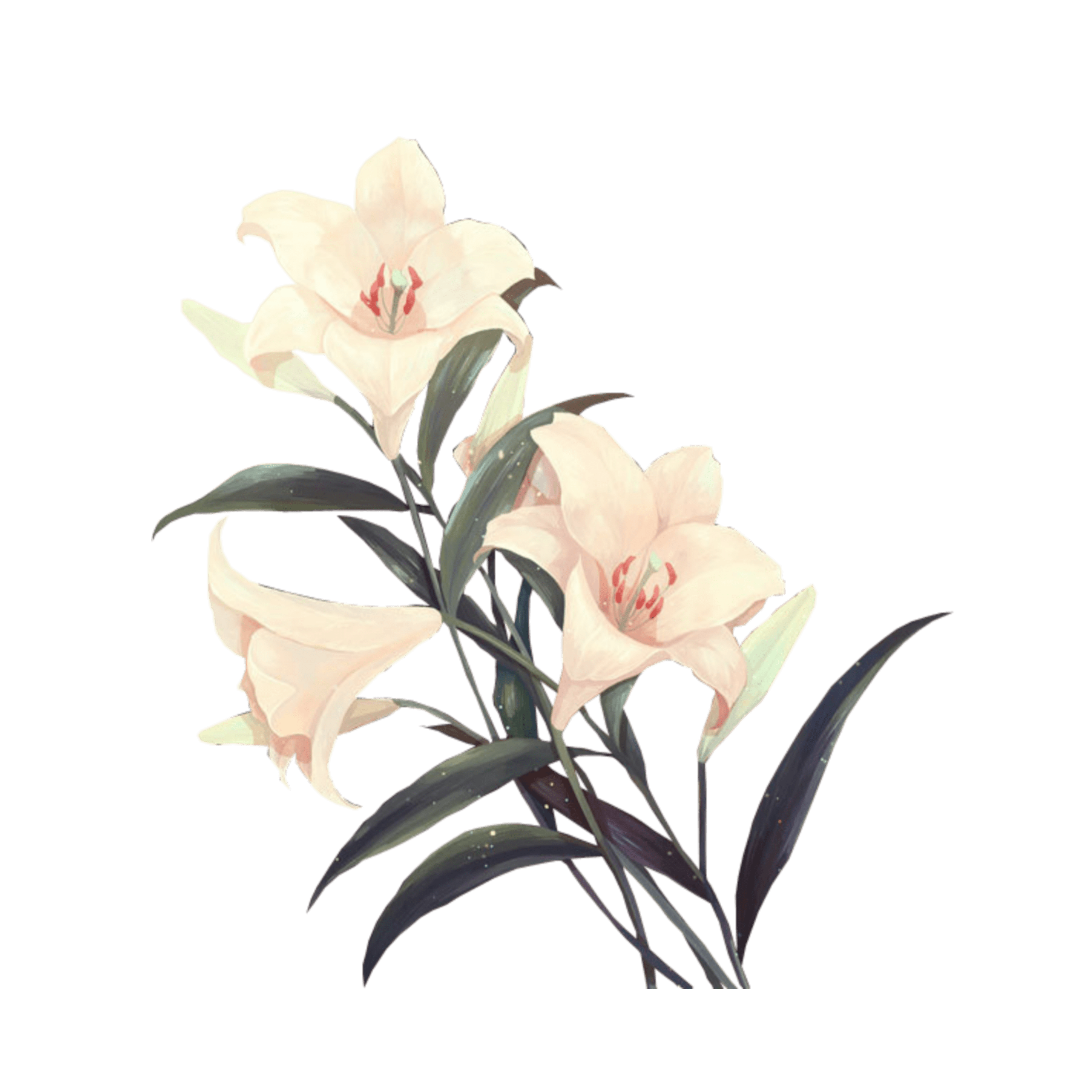 Png Aesthetic Flowers minimalis vlog