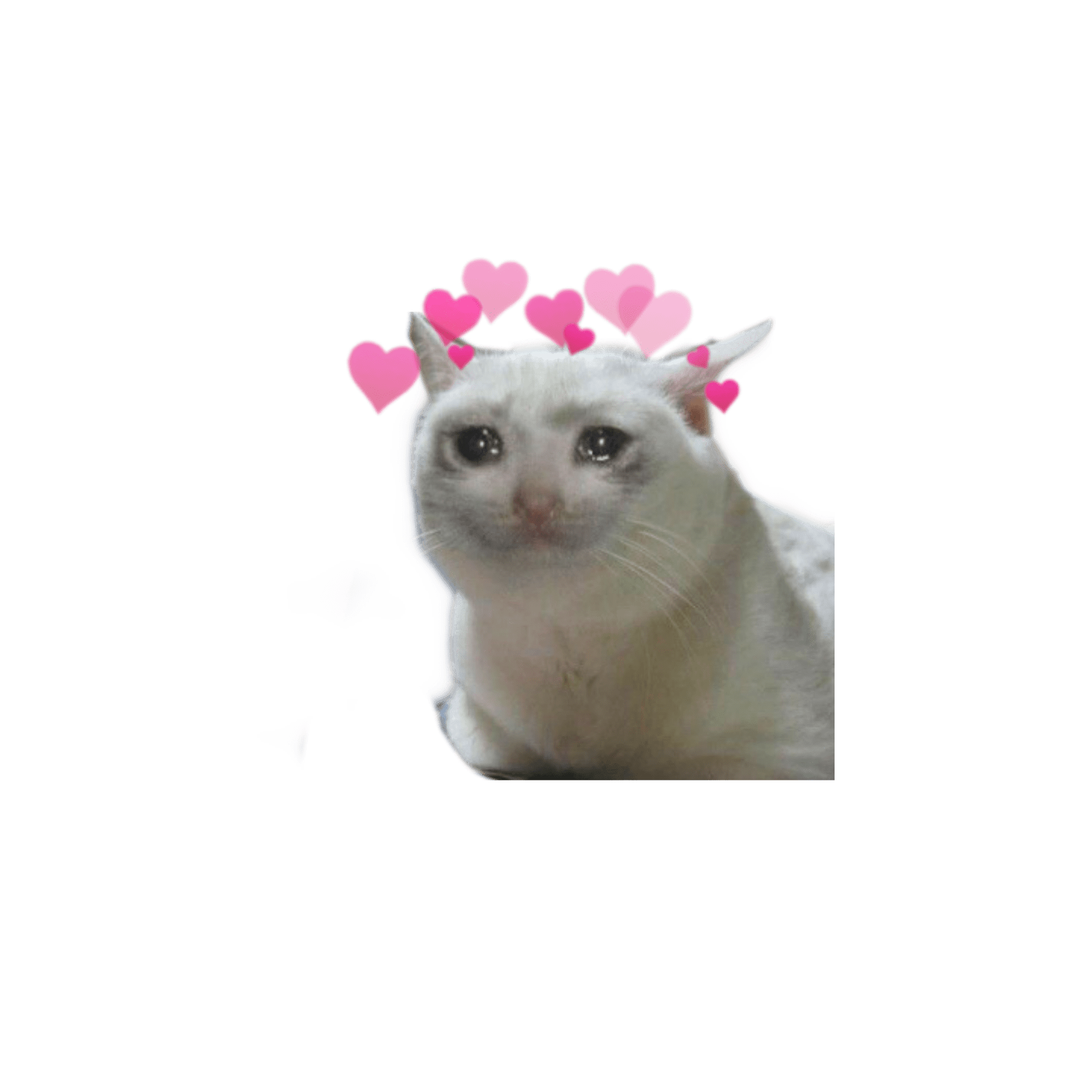 Flirty Cute Sticker Memes For Snapchat