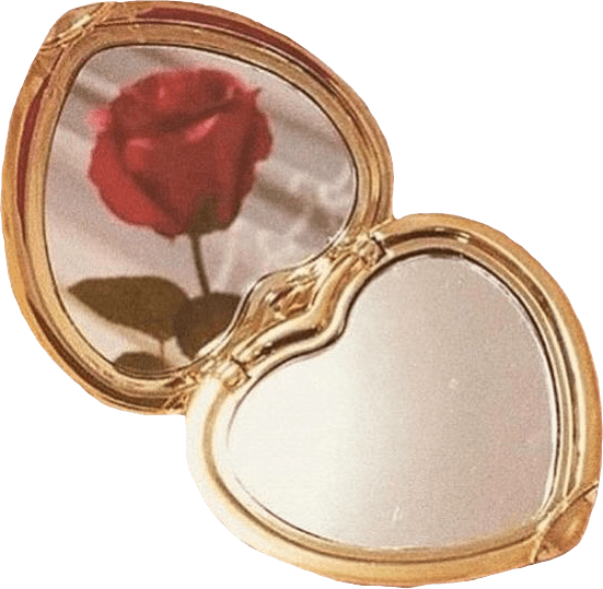 mirror rose gold aesthetic beautiful sticker by kpopower