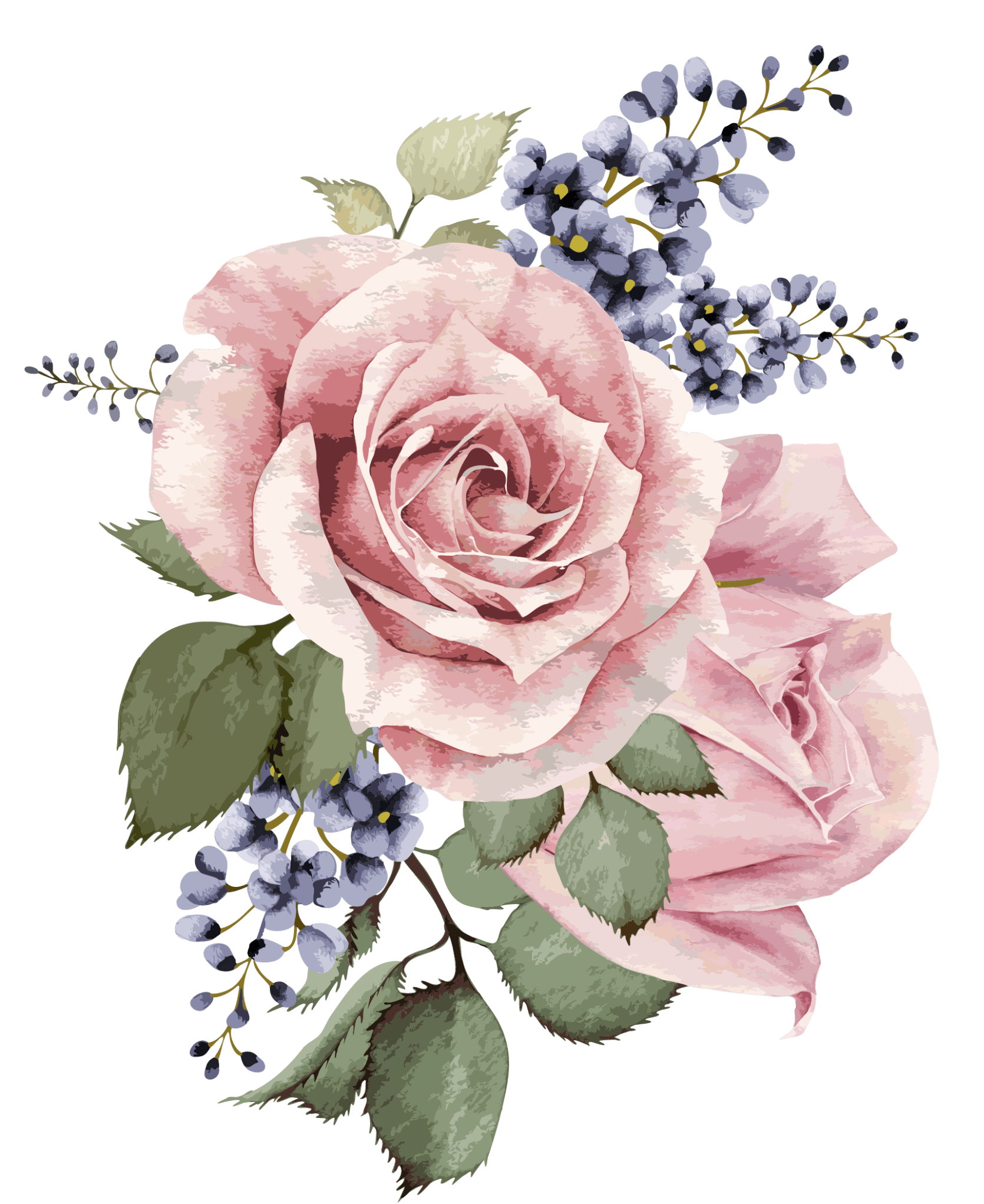 Flower Picsart Best Flower Site