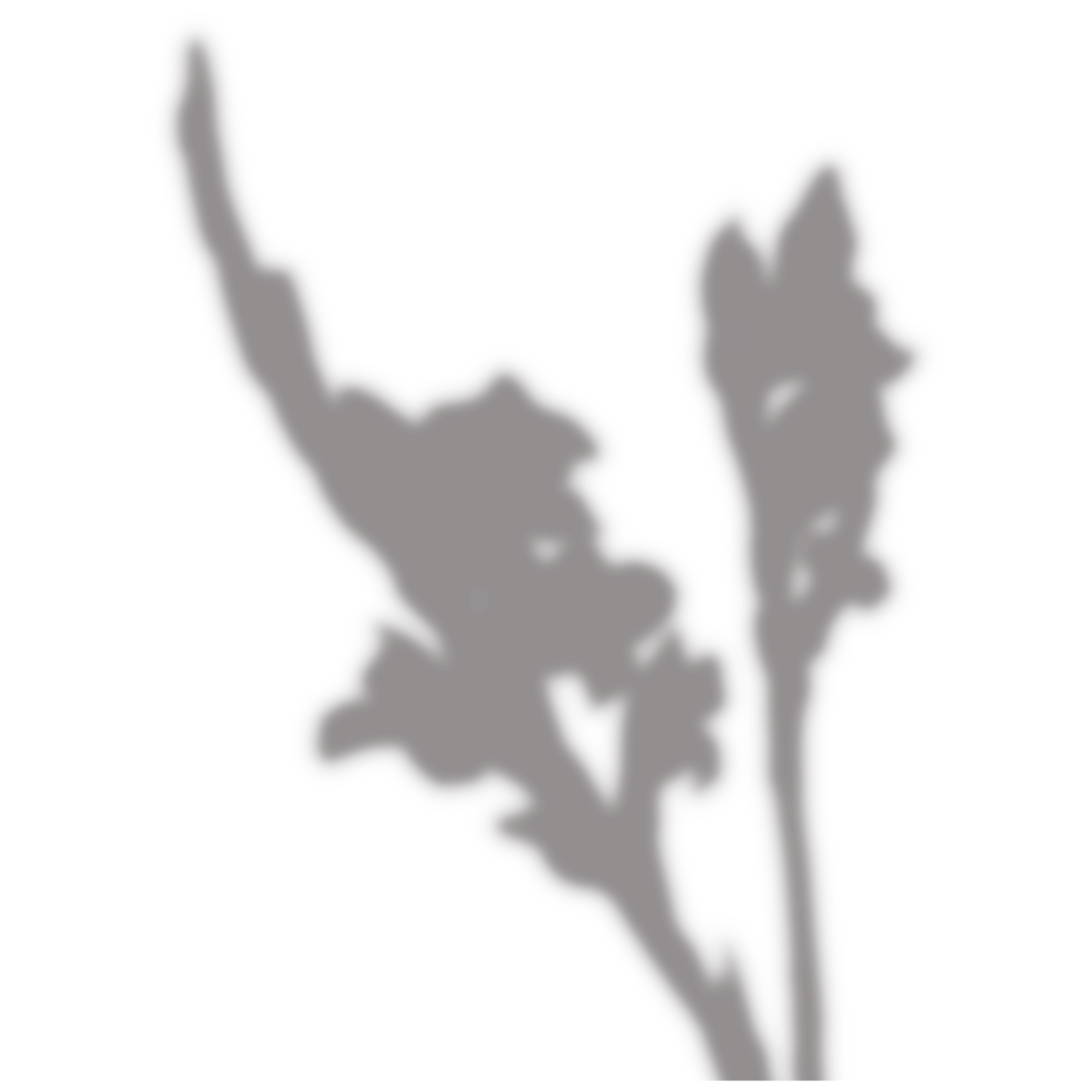 shadow shadows flower flowers blooms sticker by selenicmuse