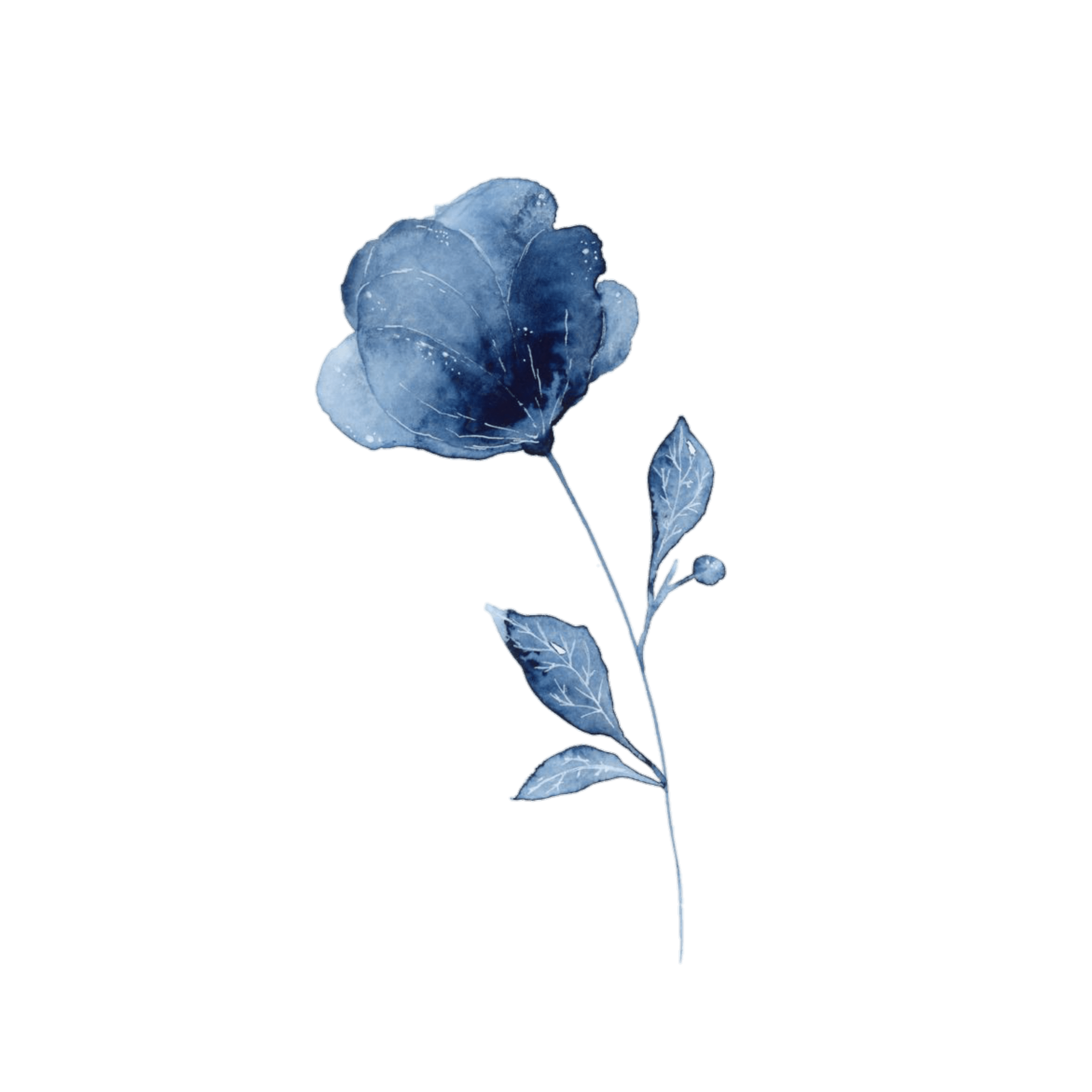 Picsart Stickers Flowers Discover trending and popular stickers on picsart