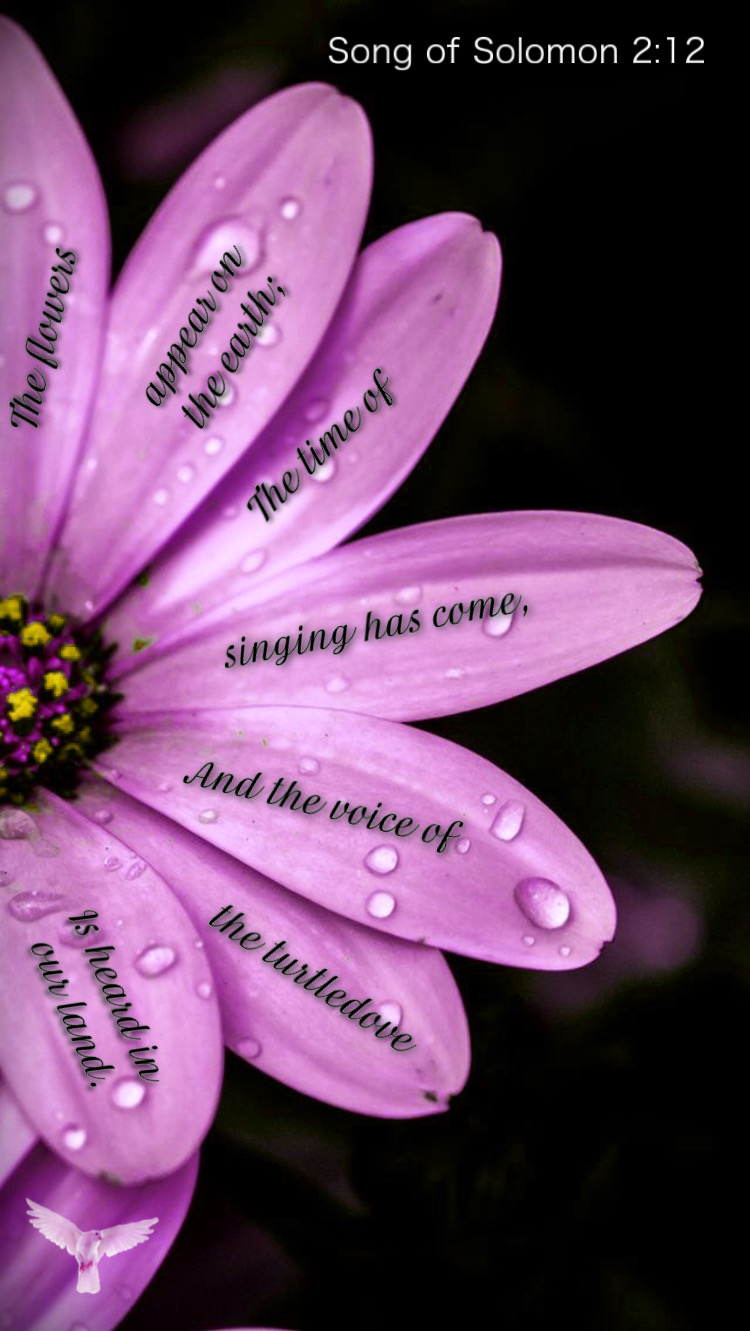 flowers singing The flowers appear on the earth; The time of singing