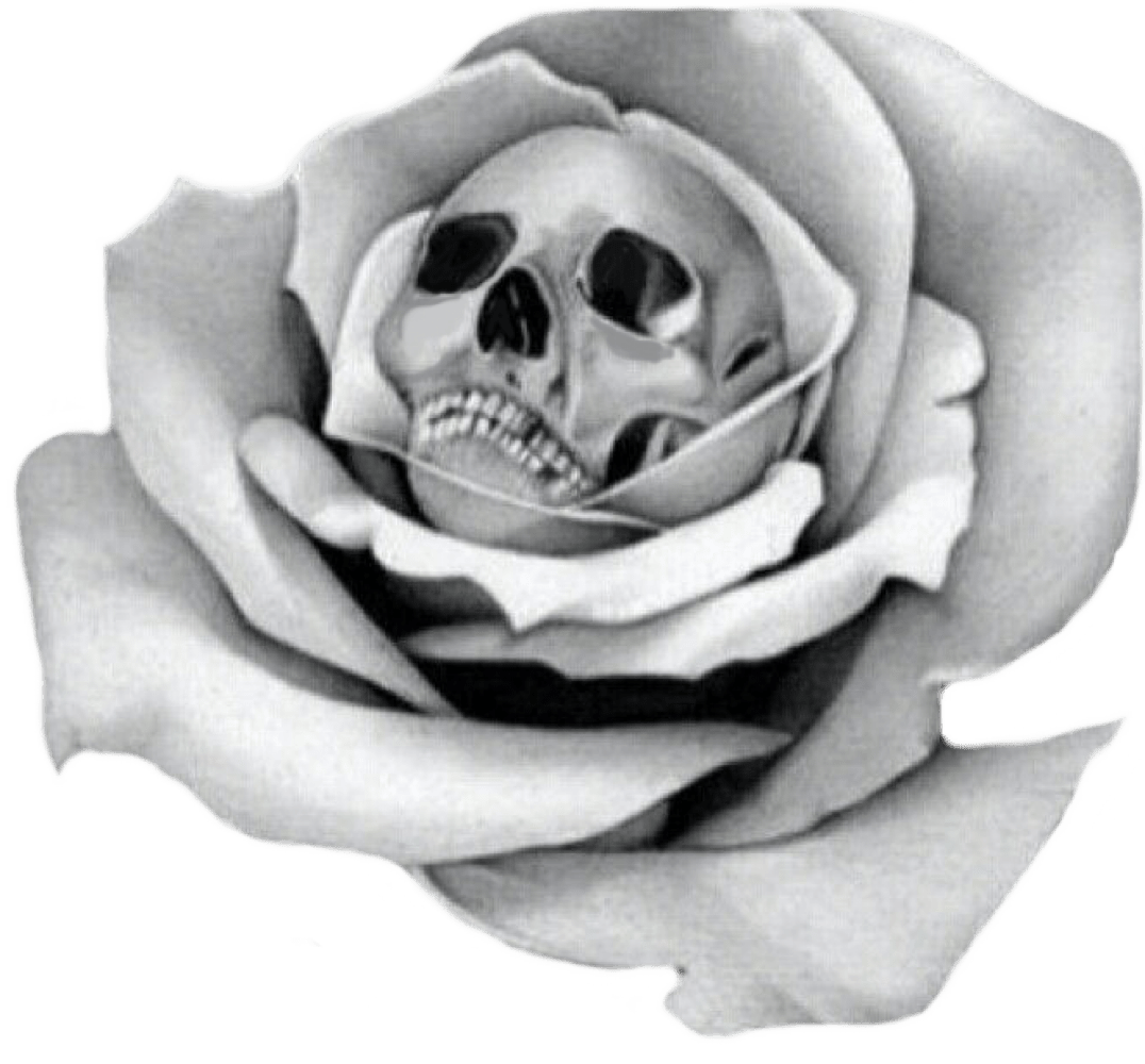 skull rose flower tattoo blackandwhite sticker by icygnus