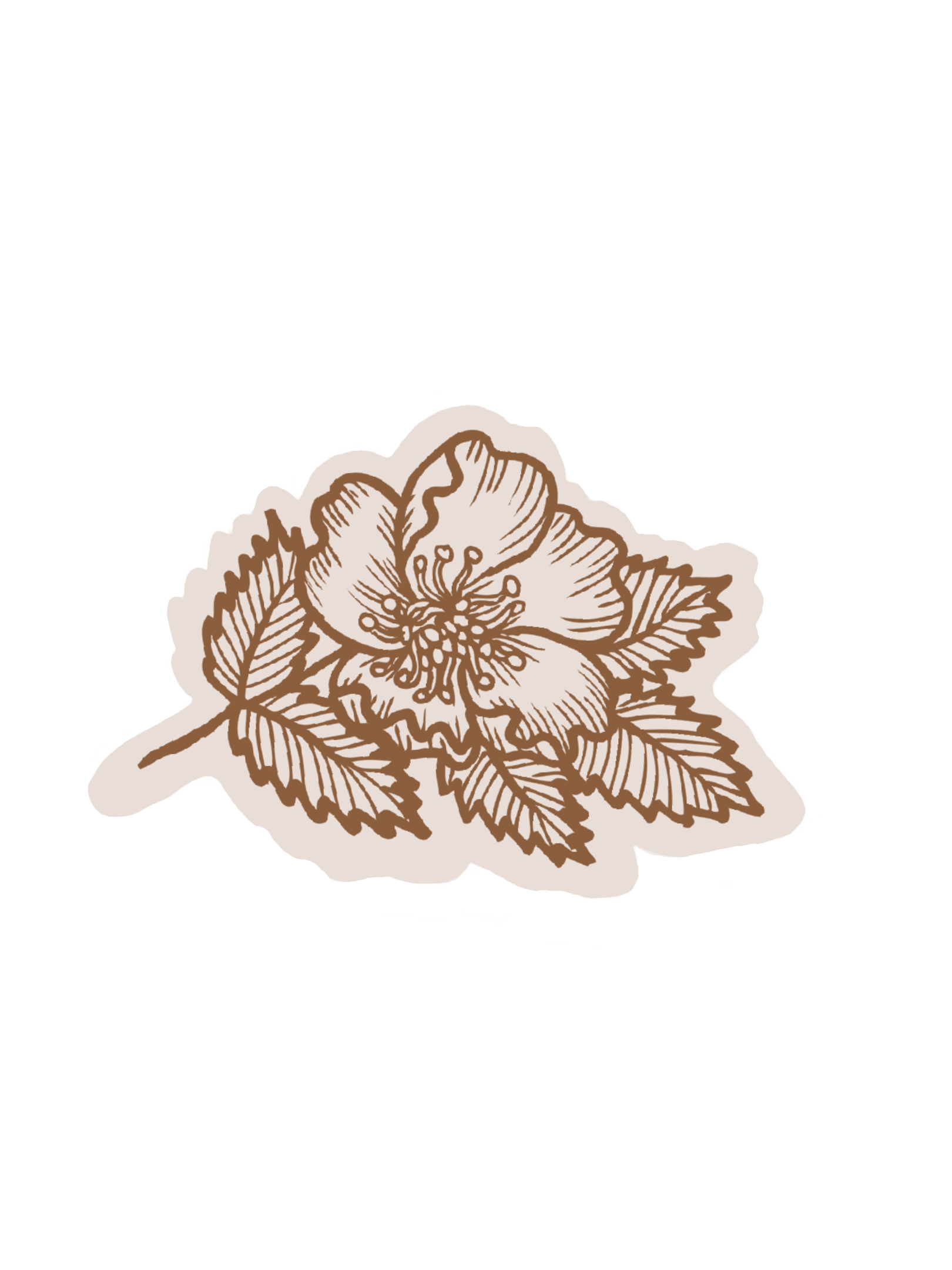 Aesthetic Flower SVG