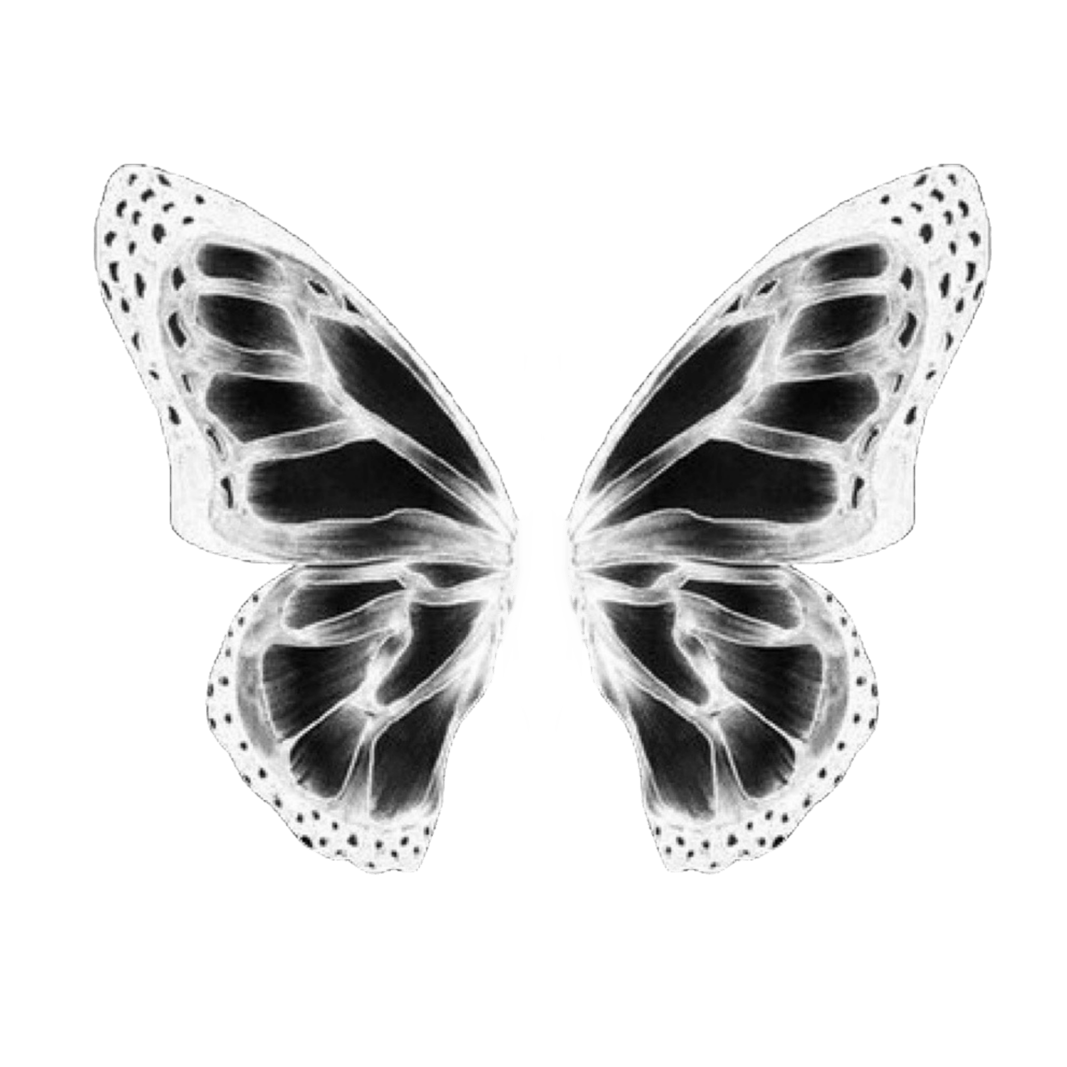 Picsart Butterfly Black Background Parketis