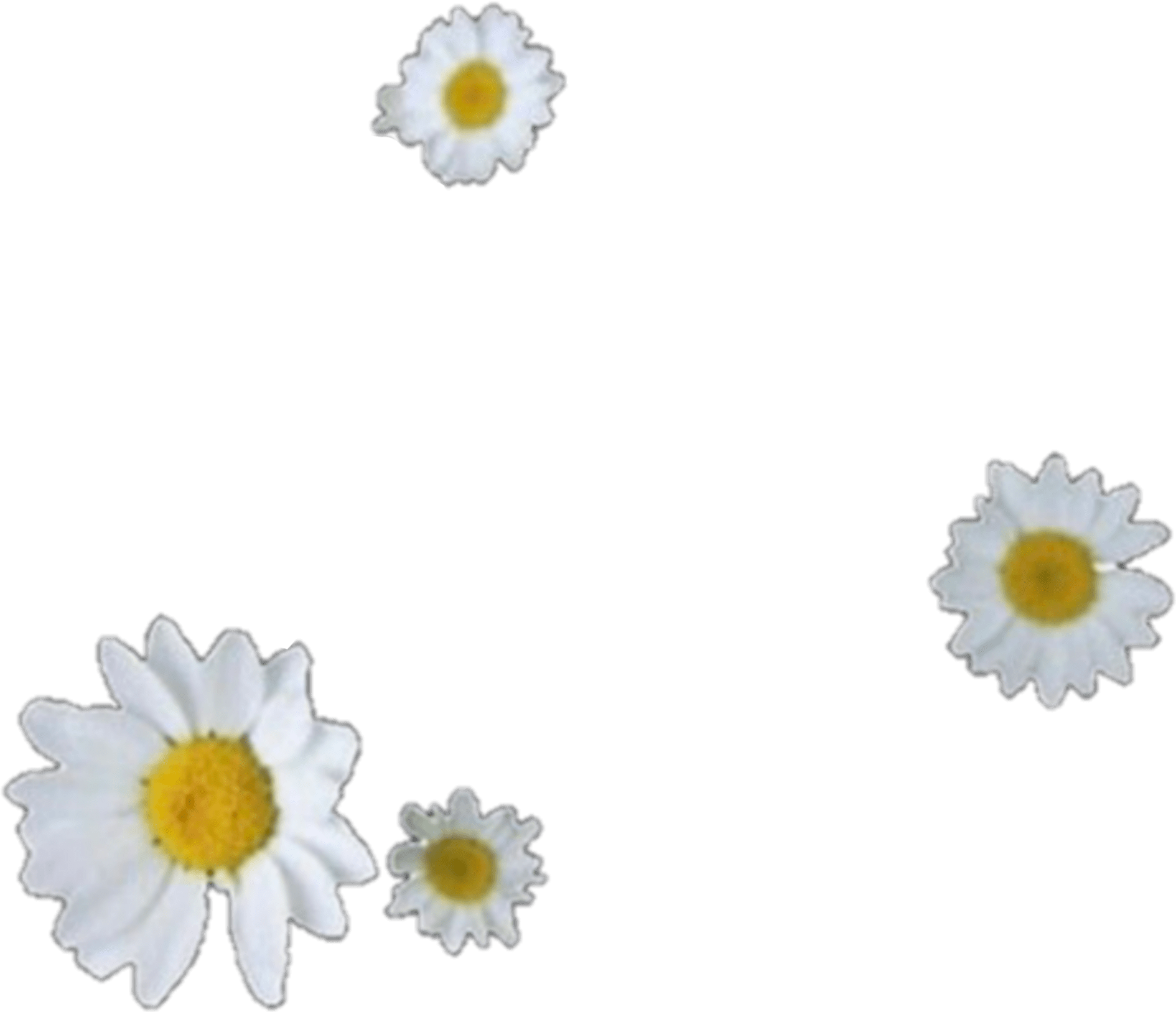 wildflowers wildflower sticker by justifiedbyjesus