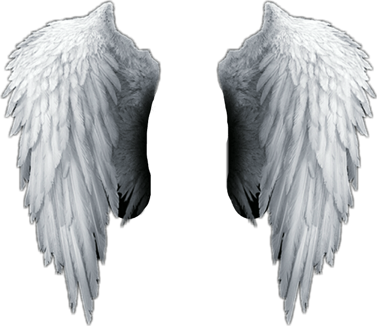 Wing png images PNGWing