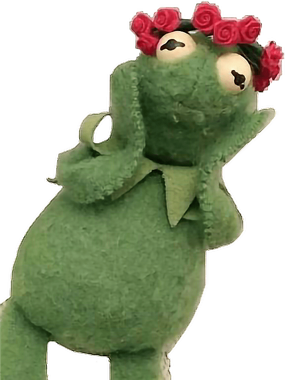 kermit flowercrown freetoedit Kermit sticker by semiuaa