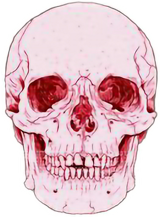 Death Calavera Tumblr Sticker By Infinite Space