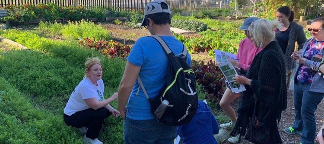 Free Plants Perth