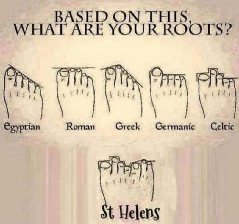 Climbing Shoes for Roman feet