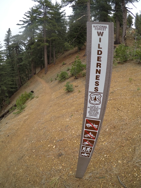 Climbing in Reyes Peak and Haddock Peak, Central Coast
