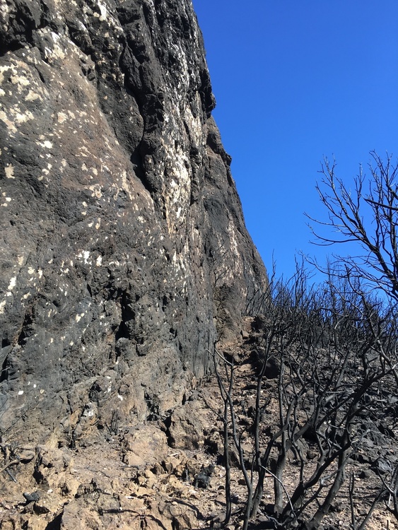 Mt. St. Helena Crags Fire Damage Updates
