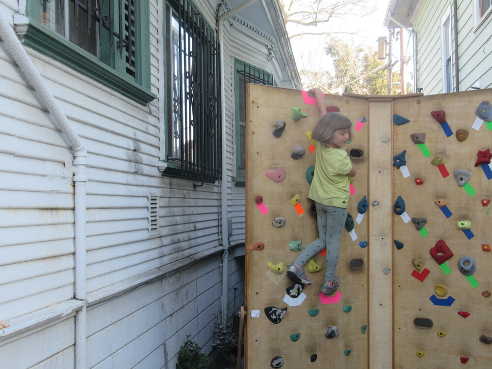 CLIMBING WALL FOR SALE FINAL PRICE DROP 800/BO. REDUCED FROM 1500
