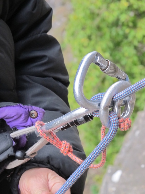 Lead belay with Kong GiGi style device?