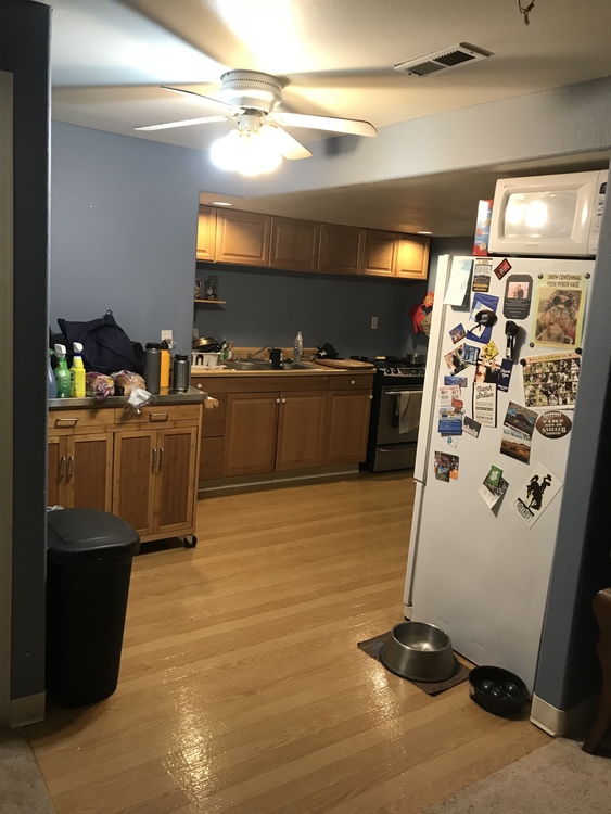 Great room for rent in Lyons